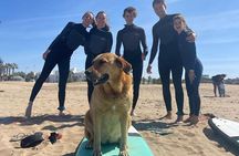 Surfing Group Courses in Essaouira to Glide on the Waves