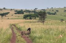 2 Days Akagera Wilderness Safari Big 5 and Highest Peak Camping