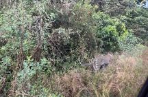 2 Days Akagera Wilderness Safari Big 5 and Highest Peak Camping