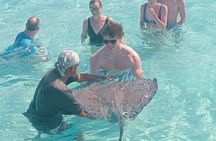 Stingray City and Reef Fishing Tours