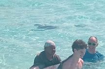 Stingray City and Reef Fishing Tours