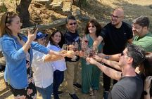 Tour Tasting Wines of Maipo Costa in Melipilla Santiago