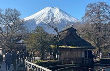 Mount Fuji Full Day Customize Private Tour with English Guide 