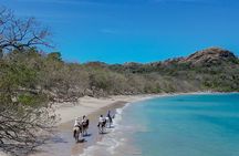 Horseback Riding - 2h Guided Tour