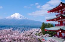 Mount Fuji Full Day Customize Private Tour with English Guide 