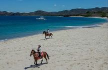 Horseback Riding - 2h Guided Tour