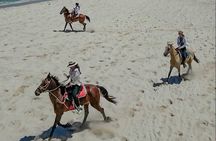 Horseback Riding - 1 hour 30 minutes Guided Tour