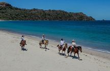 Horseback Riding - 1 hour 30 minutes Guided Tour