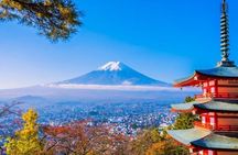 Mount Fuji Full Day Customize Private Tour with English Guide 