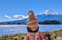 From Tokyo: Mount Fuji Full Day Private Tour with English Guide