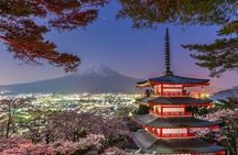 From Tokyo: Mount Fuji Full Day Private Tour with English Guide