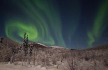 Amazing Aurora Chasing Experience. 