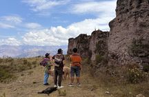 the best sacred valley tour: walk with Alpacas,culture experience