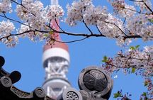 Tokyo Tower Adventure 60 Minute Scenic Rickshaw Ride