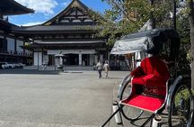 Tokyo Tower Adventure 60 Minute Scenic Rickshaw Ride