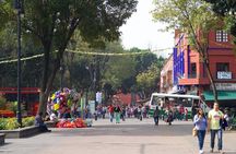 CU-Coyoacán and Xochimilco; Enjoy the Southern Colors of the CDMX