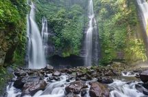 North Bali : Sekumpul and Banyumala Waterfall & Rice Terraces
