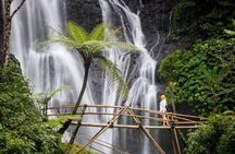 North Bali : Sekumpul and Banyumala Waterfall & Rice Terraces