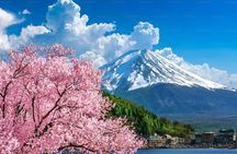 Mt. Fuji Private Customized Day Tour
