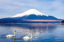 Mt Fuji Carpool Day Tour for 5 to 9 Tourists