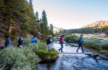 Yosemite Yoga & Hiking Adventure