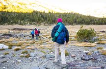 Yosemite Yoga & Hiking Adventure