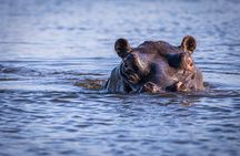 Okavango Delta Mokoro Day Tour