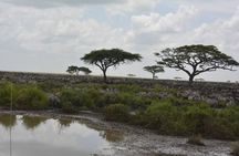 4-Day Budget Safari: Tarangire, Serengeti & Ngorongoro Crater