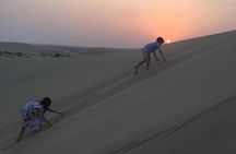 Desert Safari Horse and Camel Ride Dune Bashing Beach