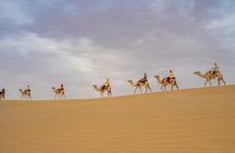 Desert Safari Horse and Camel Ride Dune Bashing Beach