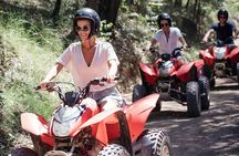 Quad Biking, Koalas and Kangaroos - Private Tour