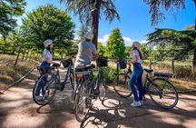 Balade à vélo au parc de la Tête d'Or- 2h