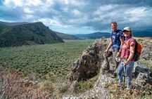Delphi: Valley Olive Grove Hiking