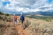 Delphi: Valley Olive Grove Hiking