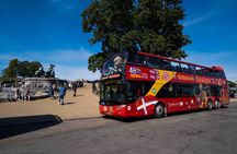 Copenhagen Bus and Boat ticket, Valid 48 Hours 