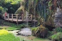  Private Tour of Blarney Castle ,Cork ,Kinsale 5 Star Rated