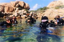 First Dive in Sardinia: La Maddalena Archipelago