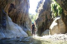 From Marbella: Canyoning Tour in Guadalmina Canyon