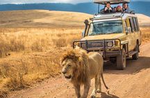 Discover Mikumi 3-Days Safari Adventure by Ferry from Zanzibar.
