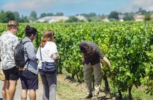 Saint Emilion Morning Wine Tour - Winery & Tastings from Bordeaux