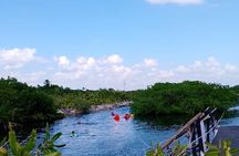 Yalku lagoon and turtles akumal sanctuary