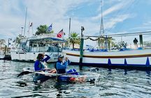 Clear Kayak Ecotour of Tarpon Springs Anclote River