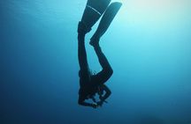 Scuba diving in Sardinia: La Maddalena Archipelago and Lavezzi