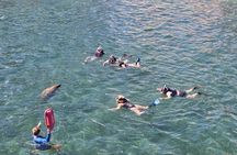  San Juan Snorkel with Turtles and Manatee's; Free Video and Rum!