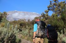 7 Days Machame Route Private tour