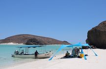 Most Popular Tour in La Paz Isla Espíritu Santo and Sea Lions