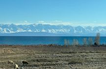 Between Peaks and Traditions: A Scenic 5-Day Kyrgyz Journey