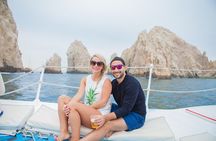 Los Cabos Whale Watching Adventure with Snacks and Drinks