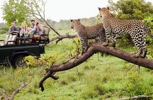 Discover Mikumi 3-Days Safari Adventure by Ferry from Zanzibar.