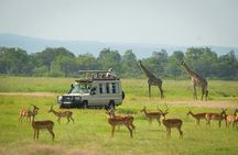 Discover Mikumi 3-Days Safari Adventure by Ferry from Zanzibar.